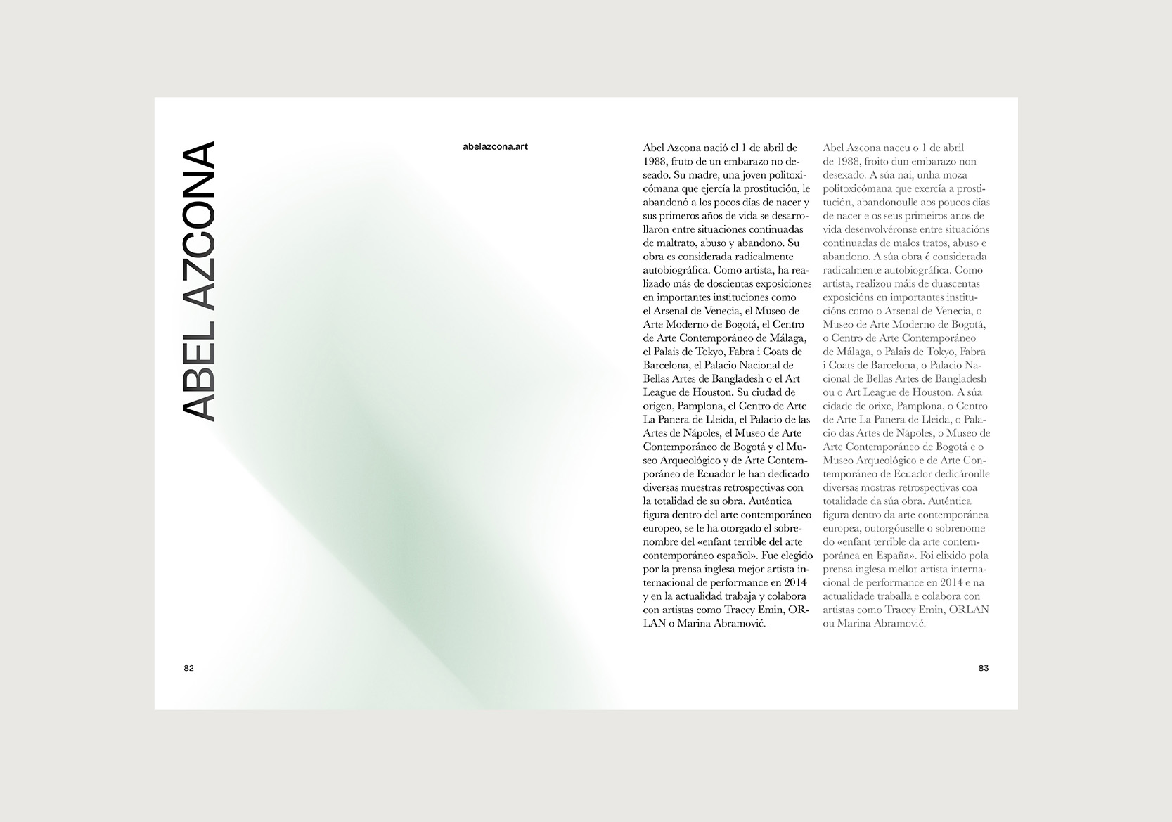 Páginas del interior del libro en fondo gris