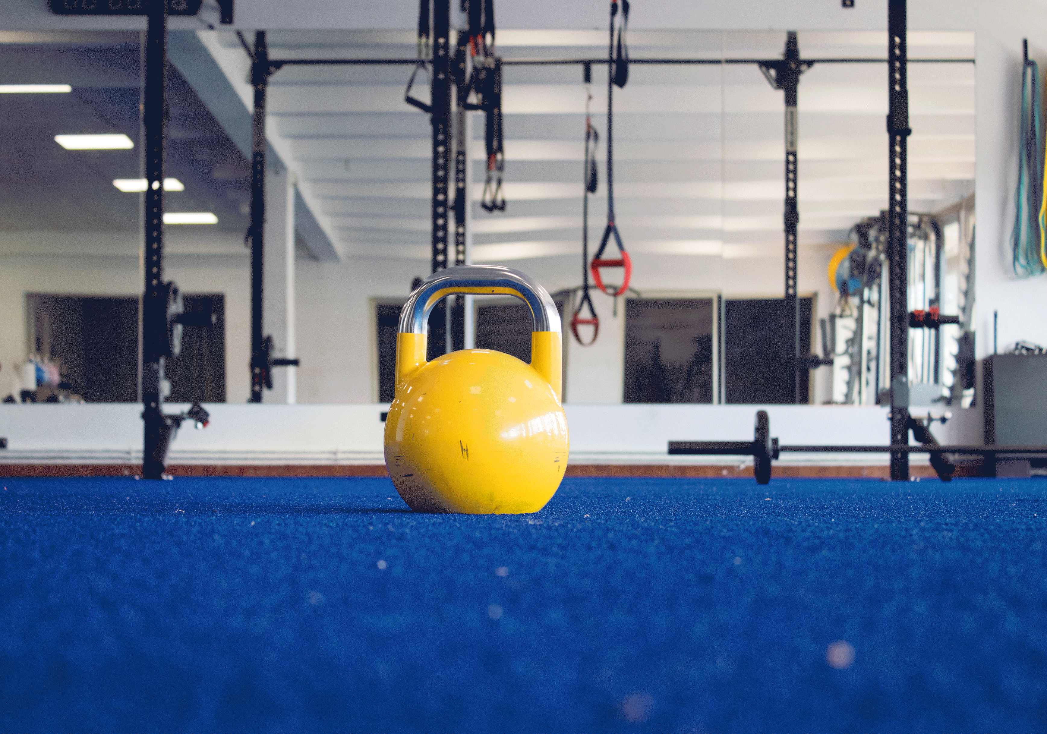animacion_fotos_gimnasio